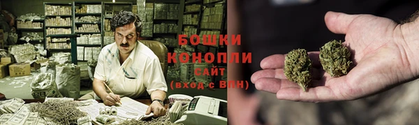 дурь Богданович