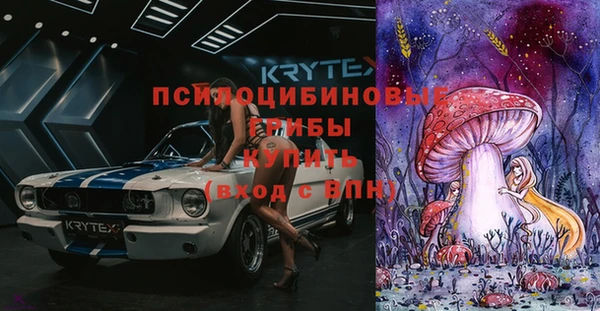 дурь Богданович