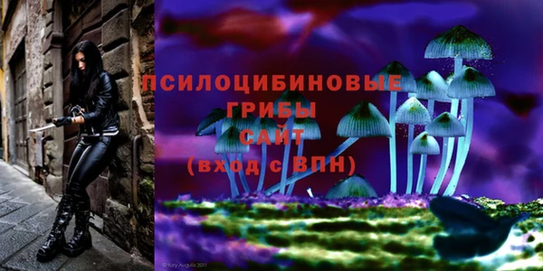 apvp Богородицк