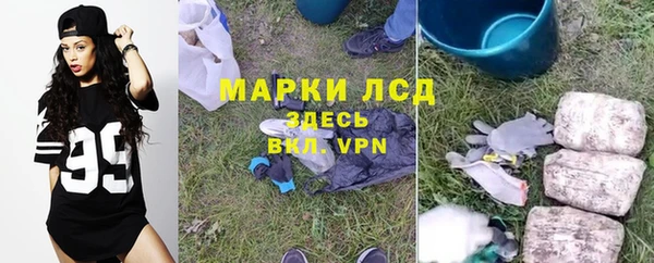 apvp Богородицк