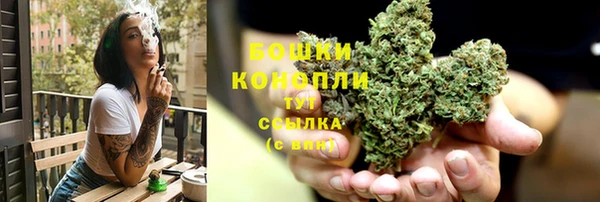apvp Богородицк