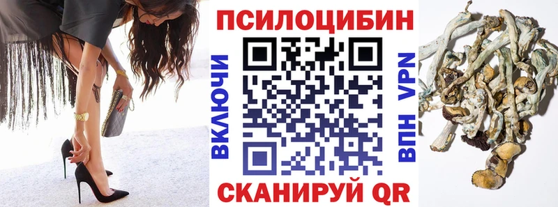 Псилоцибиновые грибы Psilocybe  Чишмы 